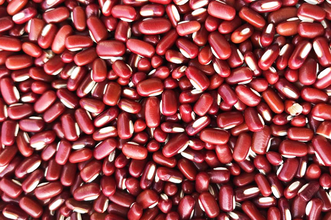 Red Bamboo Beans - Arbaza - Pulses Export