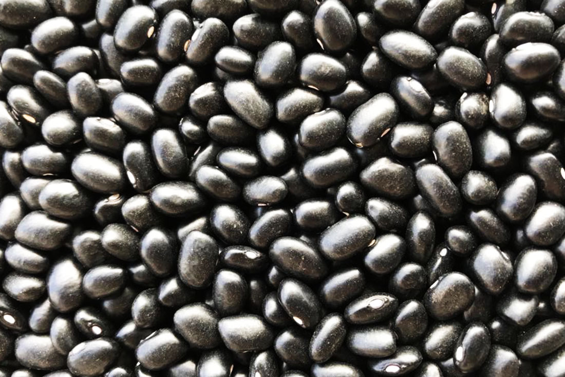 Feijão-Preto Black-Beans